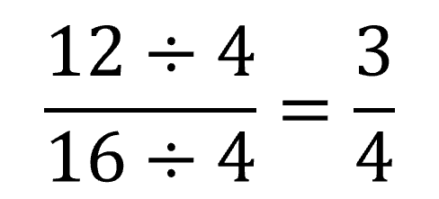 divide the numerator and denominator